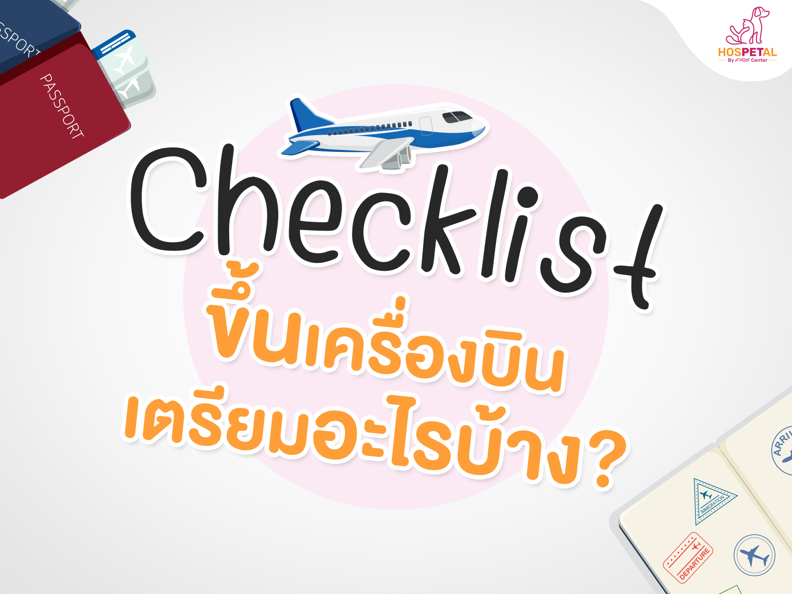 พาหมาแมวขึ้นเครื่องบิน2