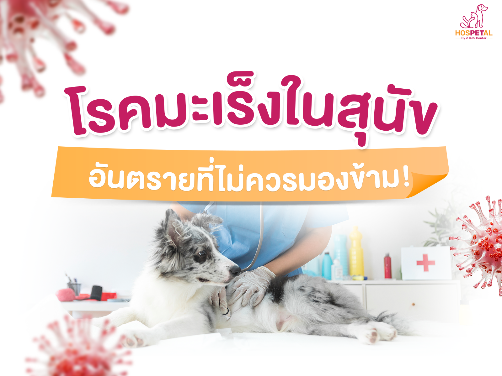 สุนัขเป็นมะเร็ง