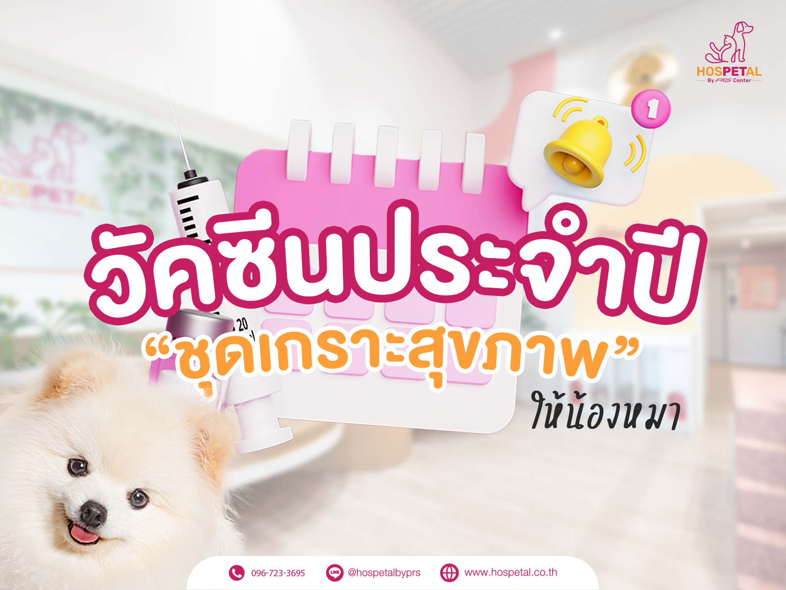 วัคซีนประจำปีหมา