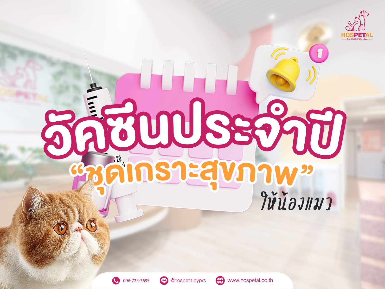 วัคซีนประจำปีแมว