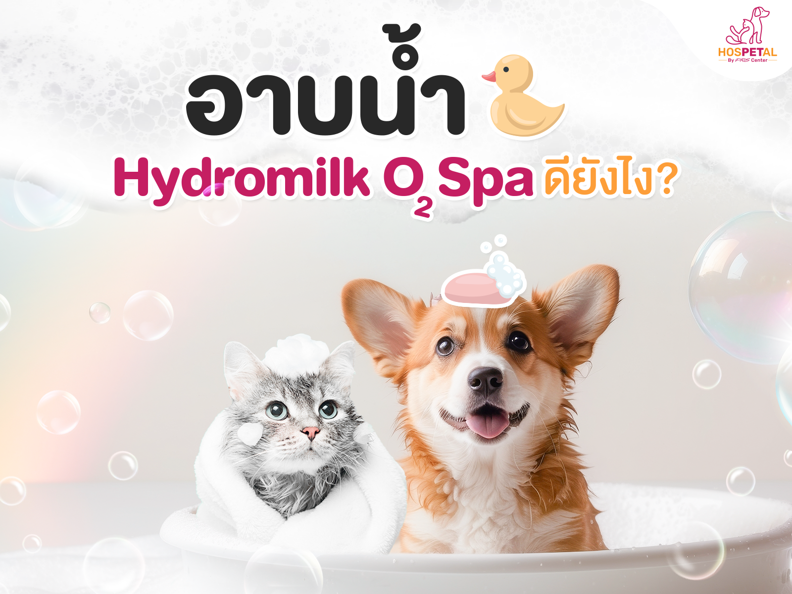 สปาน้ำนมดีกับสัตว์เลี้ยงยังไง