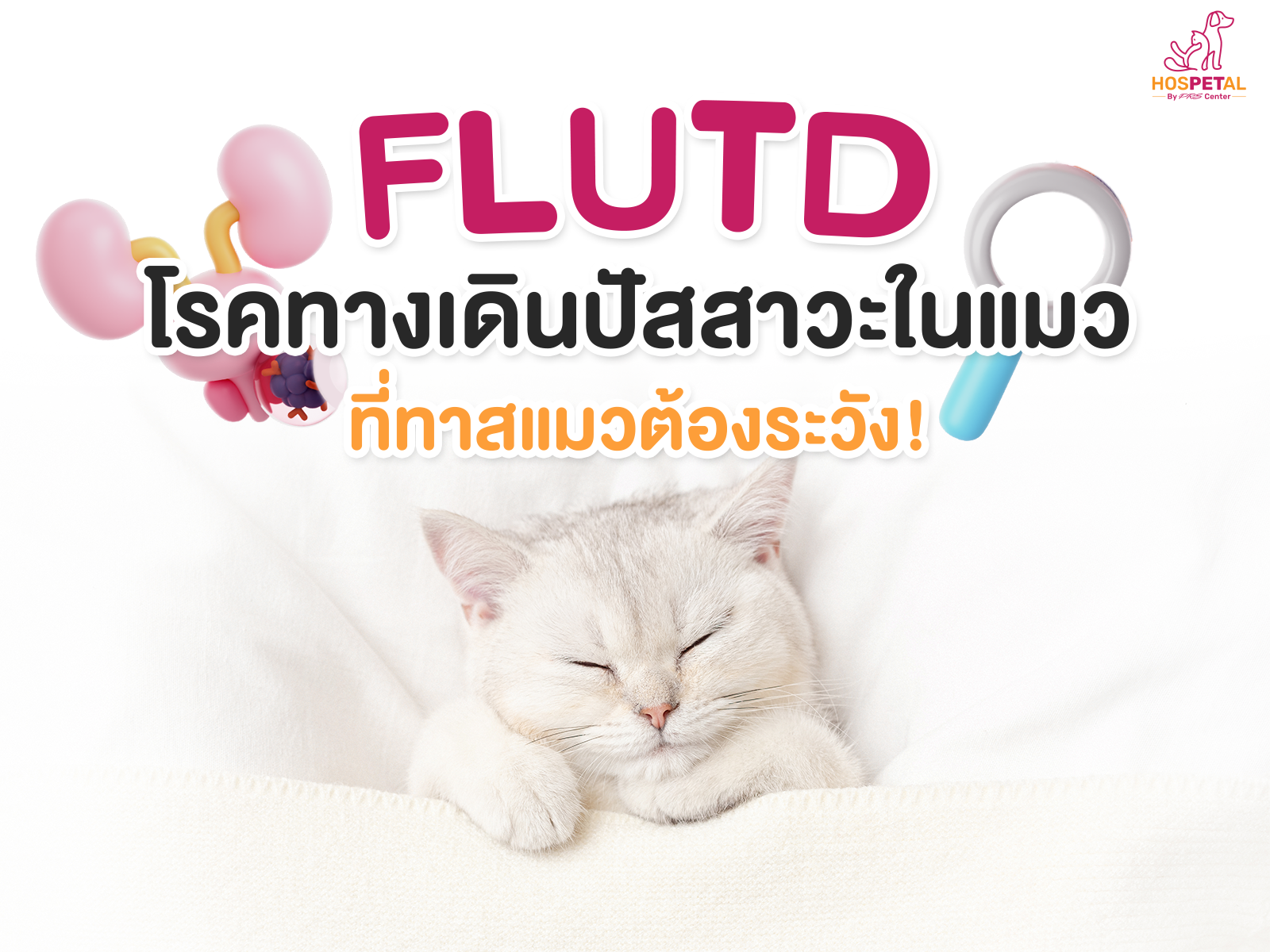 โรคทางเดินปัสสวะในแมว