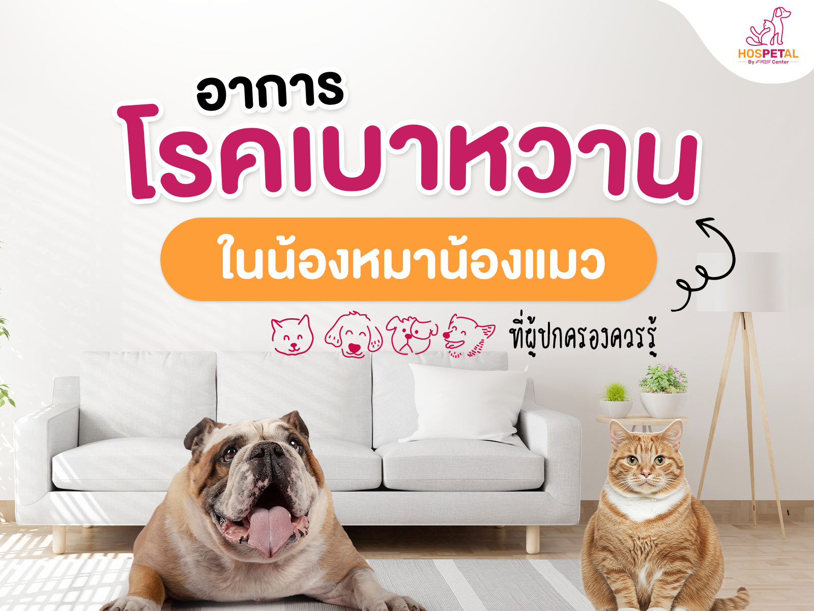 โรคเบาหวาน-หมาแมว1