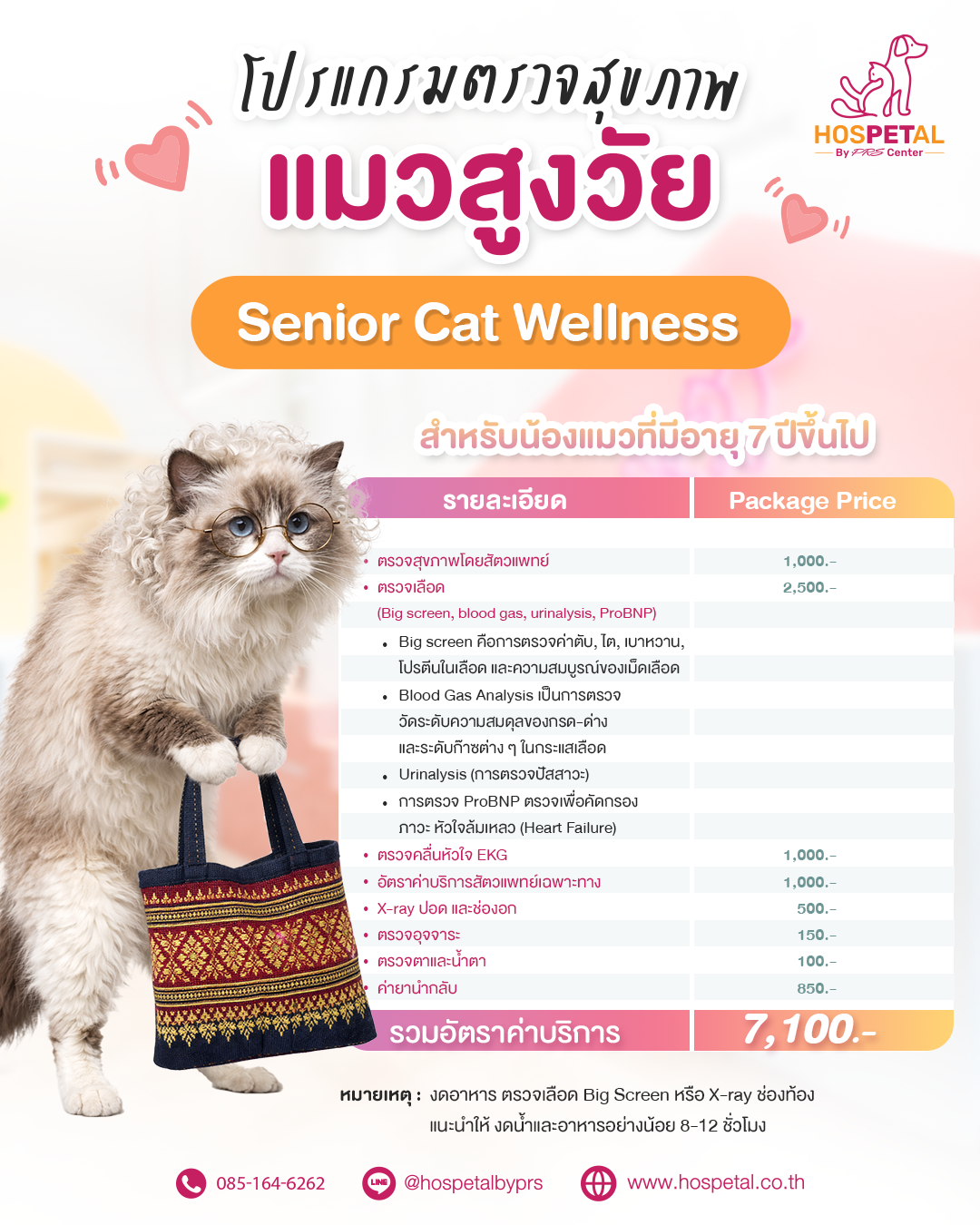 ตรวจสุขภาพแมวโรงพยาบาลสัตว์ hospetal by prs center