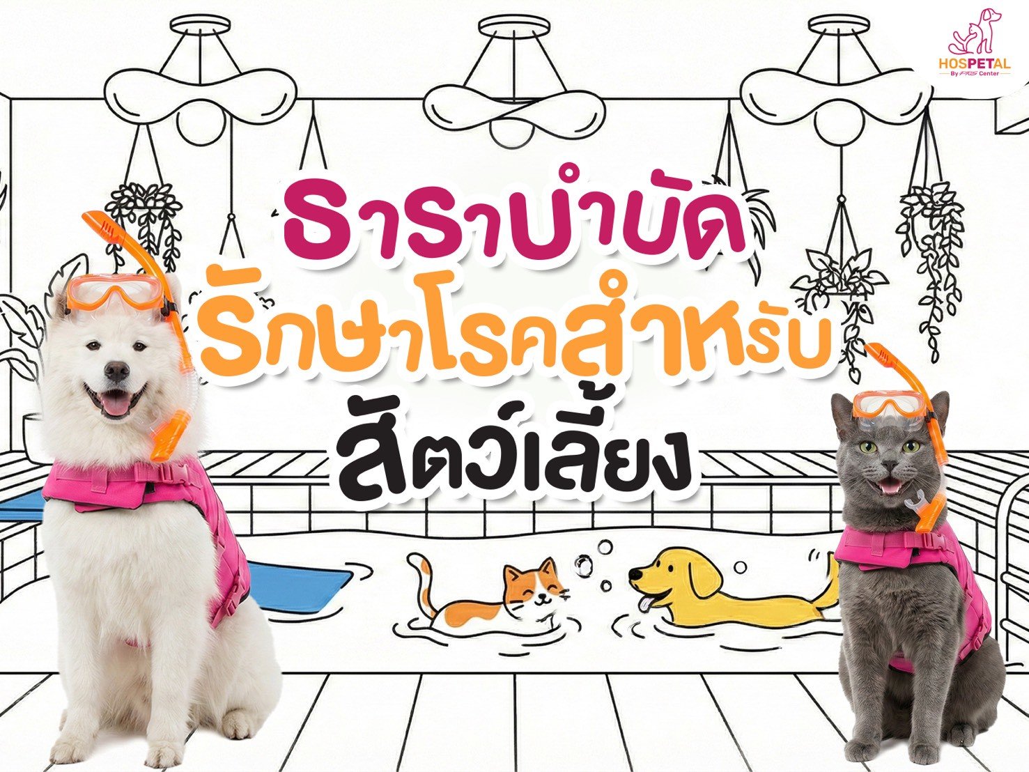 สระว่ายน้ำสุนัข กายภาพบำบัดสุนัข Hospetal By PRS Center