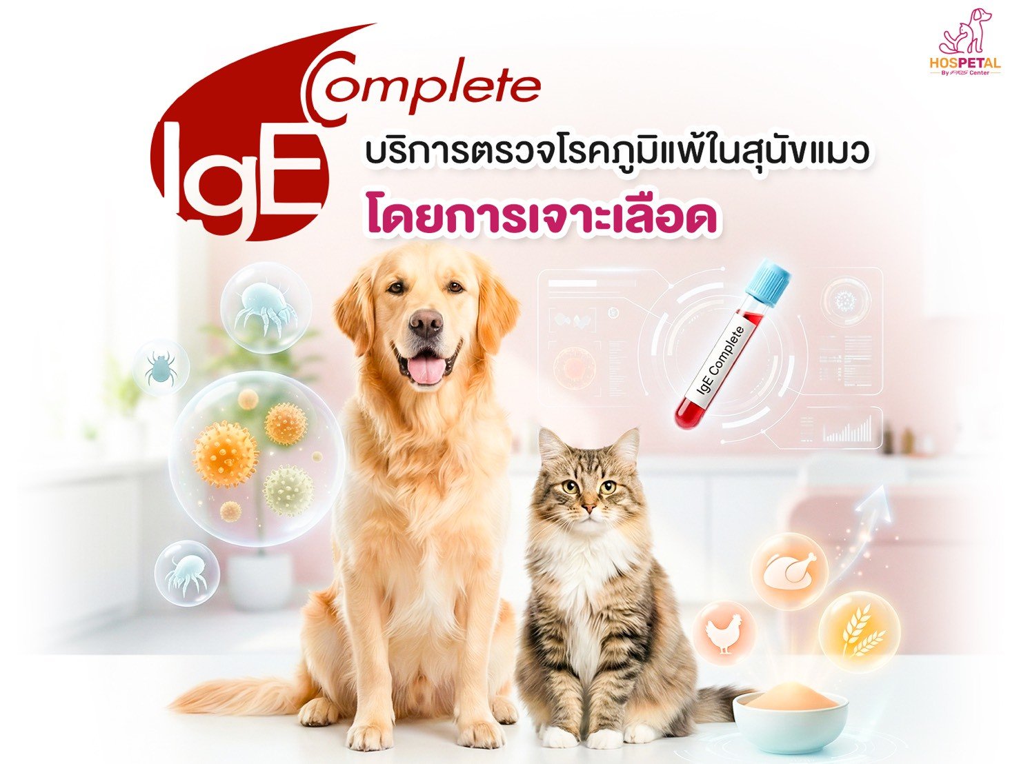  โรงพยาบาลสัตว์โรคผิวหนังใกล้ฉัน พระราม 9