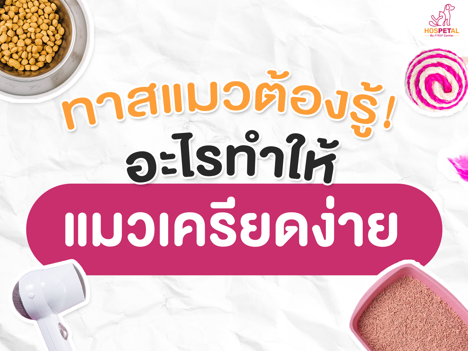 แมวเครียดไม่ยอมกินข้าว