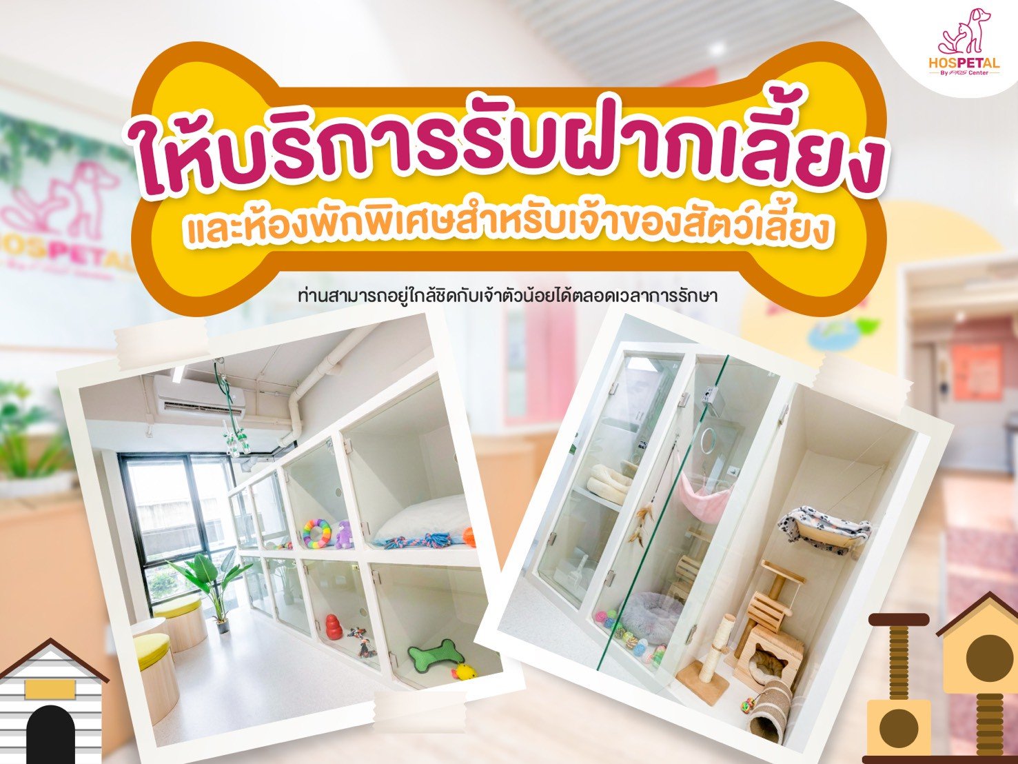 โรงแรมแมว โรงแรมสุนัข Hospetal By prs center