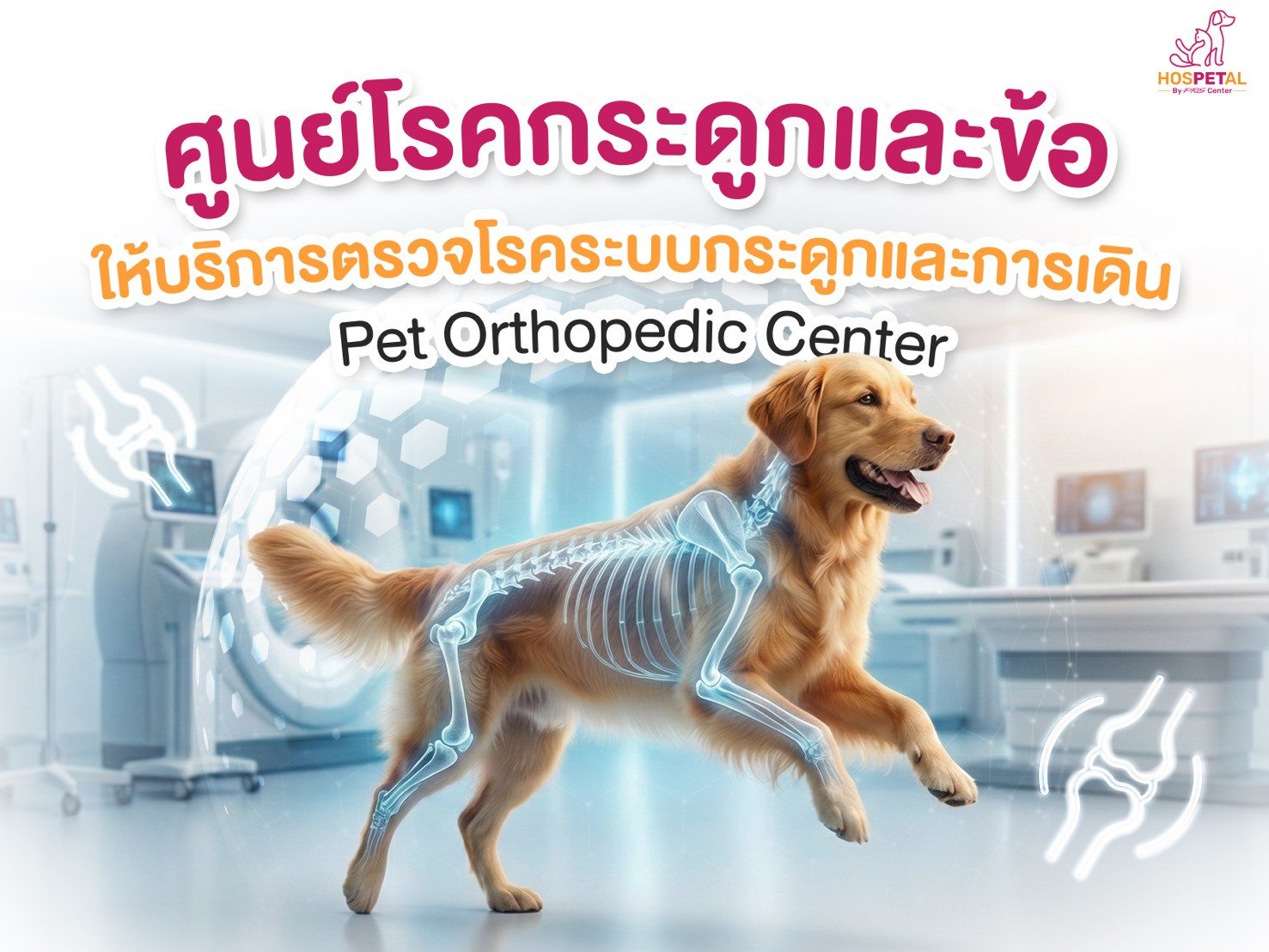 ศูนย์โรคกระดูกและข้อสุนัขแมว - โรงพยาบาลสัตว์ HOSPETAL By PRS Center