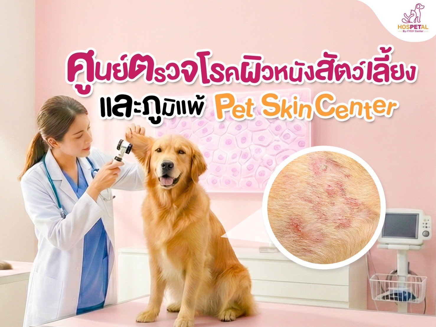  ศูนย์ตรวจโรคผิวหนังสัตว์เลี้ยงและภูมิแพ้ Pet Skin Center - โรงพยาบาลสัตว์ hospetal by prs centerโรงพยาบาลสัตว์ hospetal by prs center