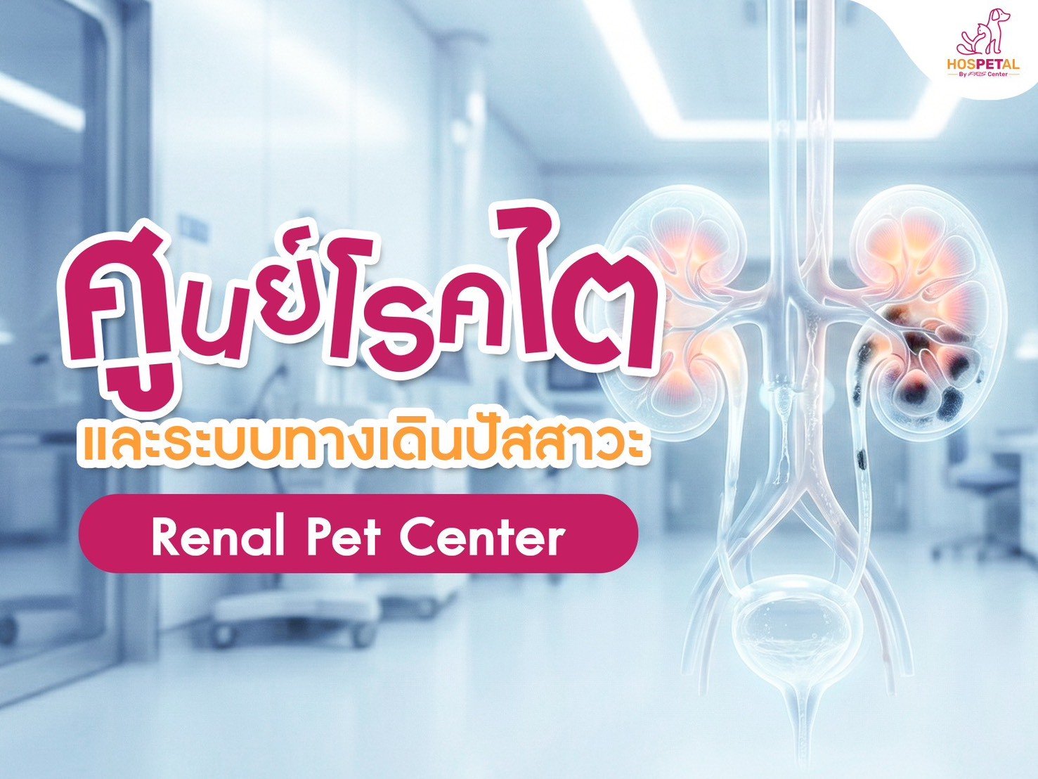ศูนย์โรคไตและระบบทางเดินปัสสาวะสัตว์เลี้ยง Renal Pet Center - โรงพยาบาลสัตว์ HOSPETAL By PRS Center