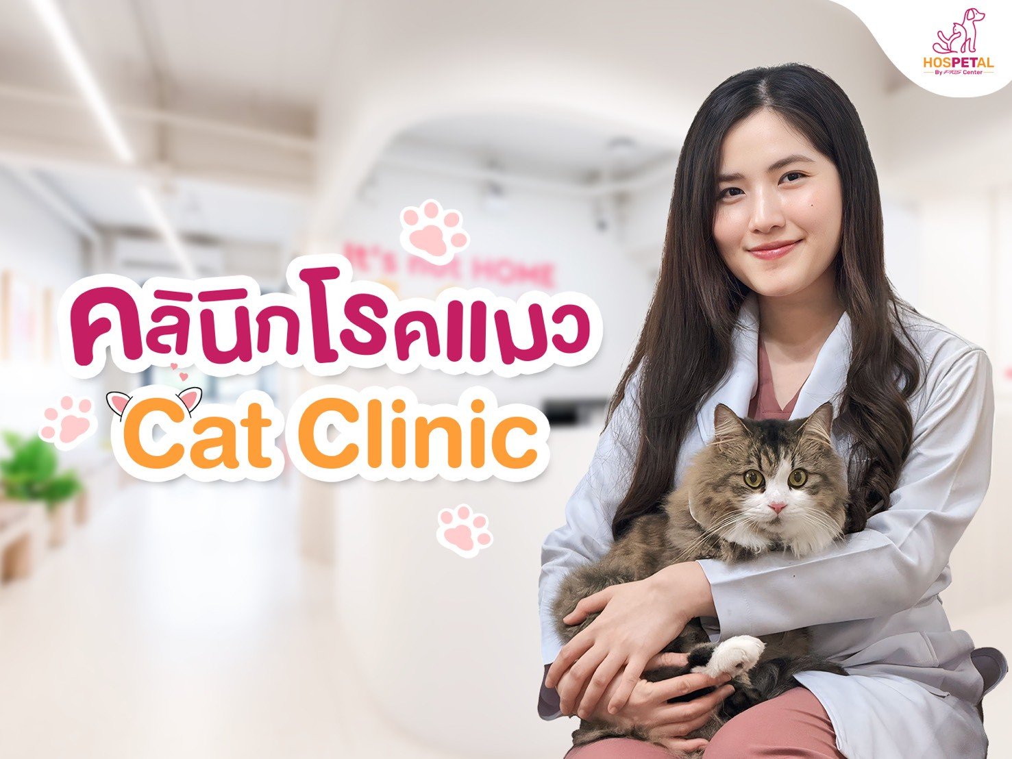 คลินิกโรคแมว Cat Clinic - โรงพยาบาลสัตว์ hospetal by prs center