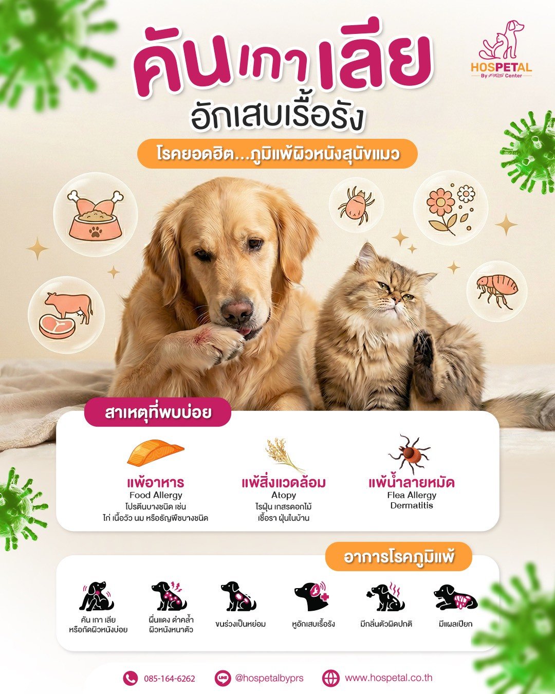 รงพยาบาลสัตว์ HOSPETAL By PRS Center ถนนพระราม 