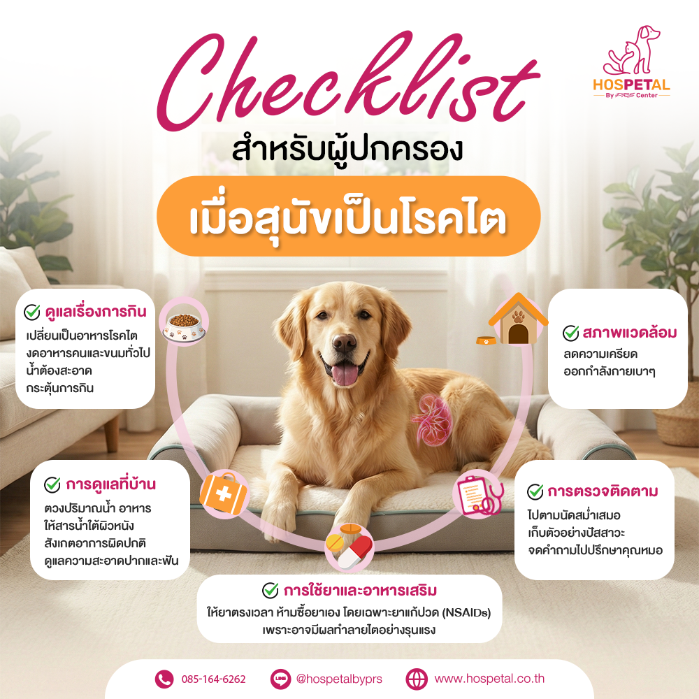 Checklist สำหรับเจ้าของเมื่อสุนัขเป็นโรคไต