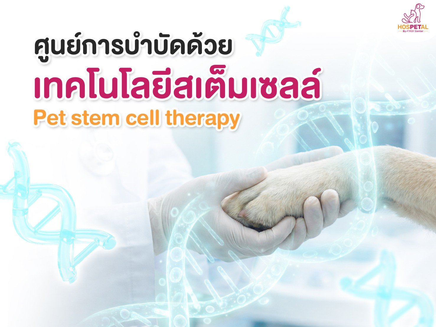 สเต็มเซลล์รักษาข้อกระดูกสุนัข โรงพยาบาลสัตว์ Hospetal By prs center