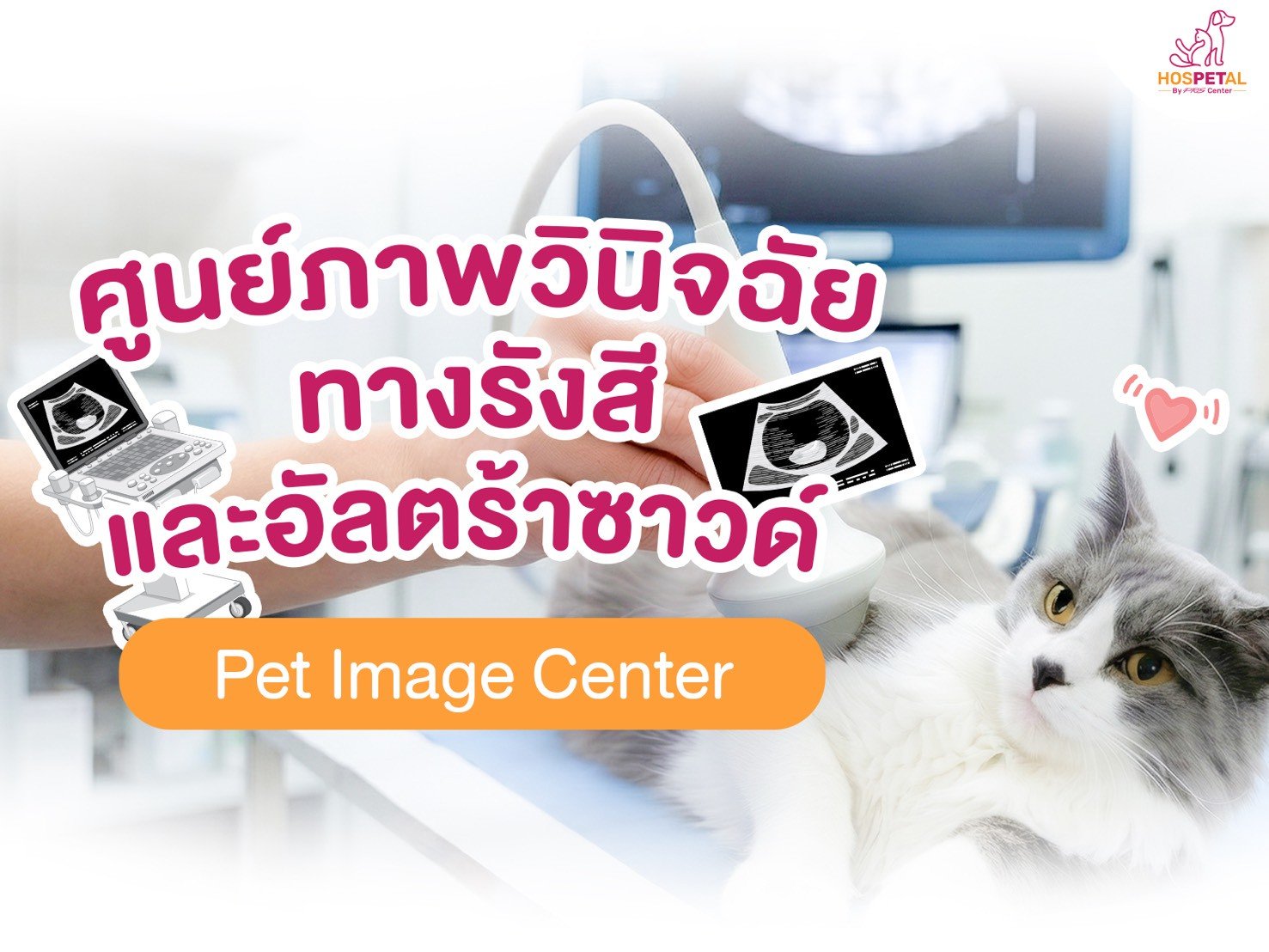 ศูนย์ภาพวินิจฉัยทางรังสี และอัลตร้าซาวด์ Pet Image Center - โรงพยาบาลสัตว์ hospetal by prs center
