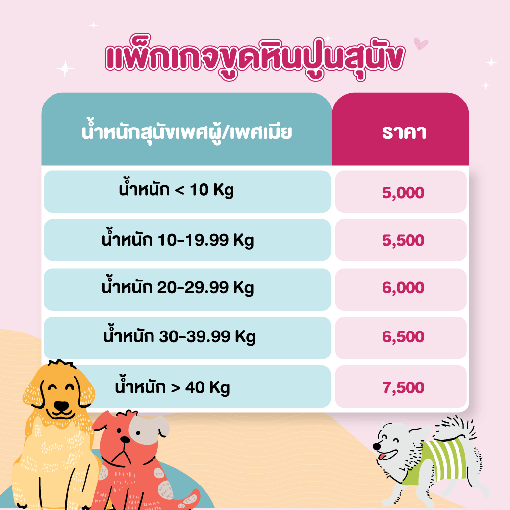 ขูดหินปูนสุนัข