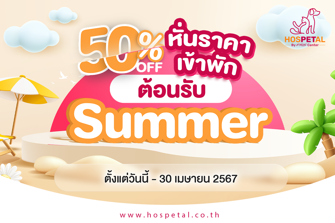 welcome Summer 50% discount on accommodation