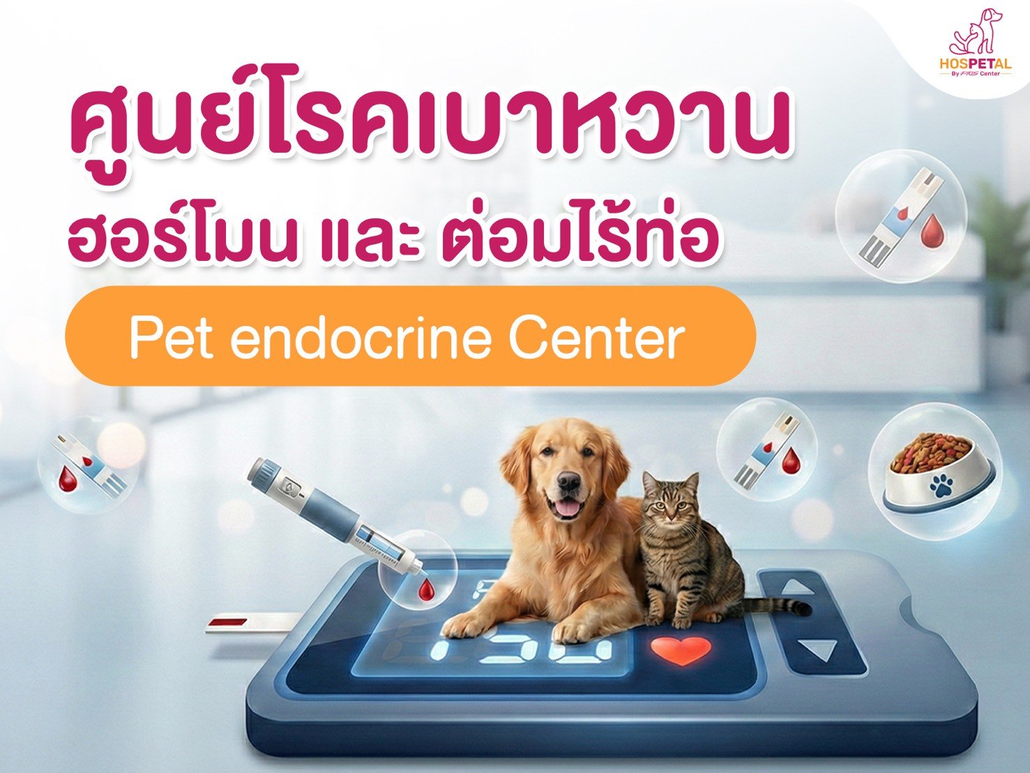 ศูนย์โรคเบาหวานฮอร์โมนต่อมไร้ท่อสัตว์เลี้ยง Pet endocrine Center - โรงพยาบาลสัตว์ HOSPETAL By PRSCenter