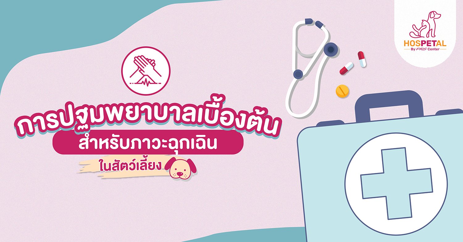 การปฐมพยาบาลเบื้องต้นสำหรับภาวะฉุกเฉินในสัตว์เลี้ยง การปฐมพยาบาลเบื้องต้นสำหรับภาวะฉุกเฉินในสัตว์เลี้ยง