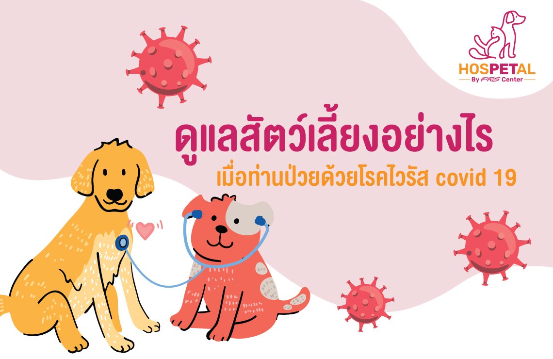 ข้อควรปฎิบัติกับสัตว์เลี้ยงเมื่อท่านป่วยด้วยโรค COVID-19 ข้อควรปฎิบัติกับสัตว์เลี้ยงเมื่อท่านป่วยด้วยโรค COVID-19