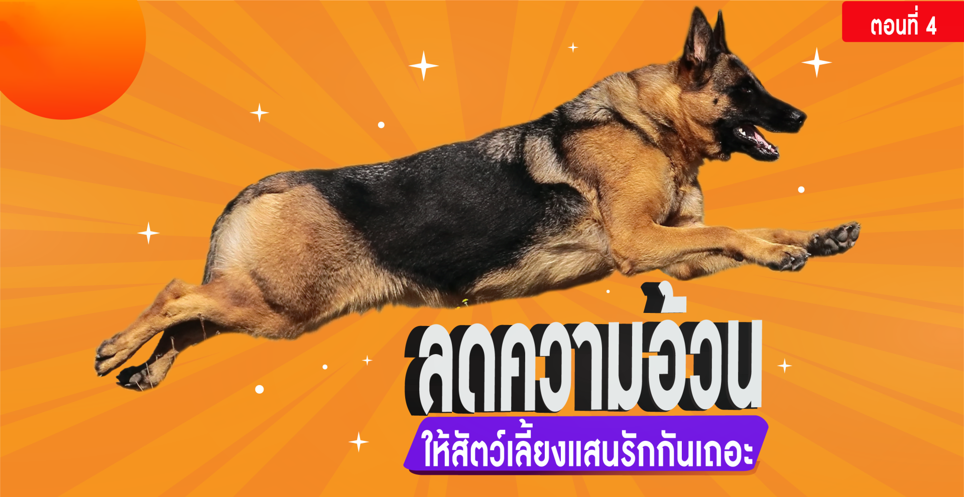 ตอนที่ 4 ลดความอ้วนให้สัตว์เลี้ยงแสนรักกันเถอะ ตอนที่ 4 ลดความอ้วนให้สัตว์เลี้ยงแสนรักกันเถอะ