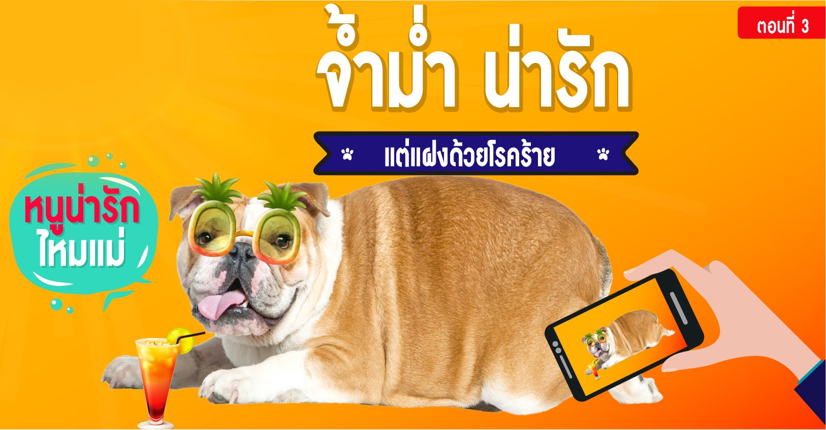 ตอนที่ 3 จ้ำม่ำ น่ารัก...แต่แฝงด้วยโรคร้าย ตอนที่ 3 จ้ำม่ำ น่ารัก...แต่แฝงด้วยโรคร้าย