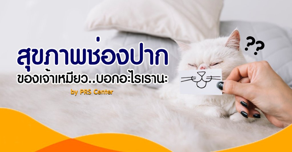 เพราะกลิ่นปากไม่ใช่เรื่องตลก.. เพราะกลิ่นปากไม่ใช่เรื่องตลก..