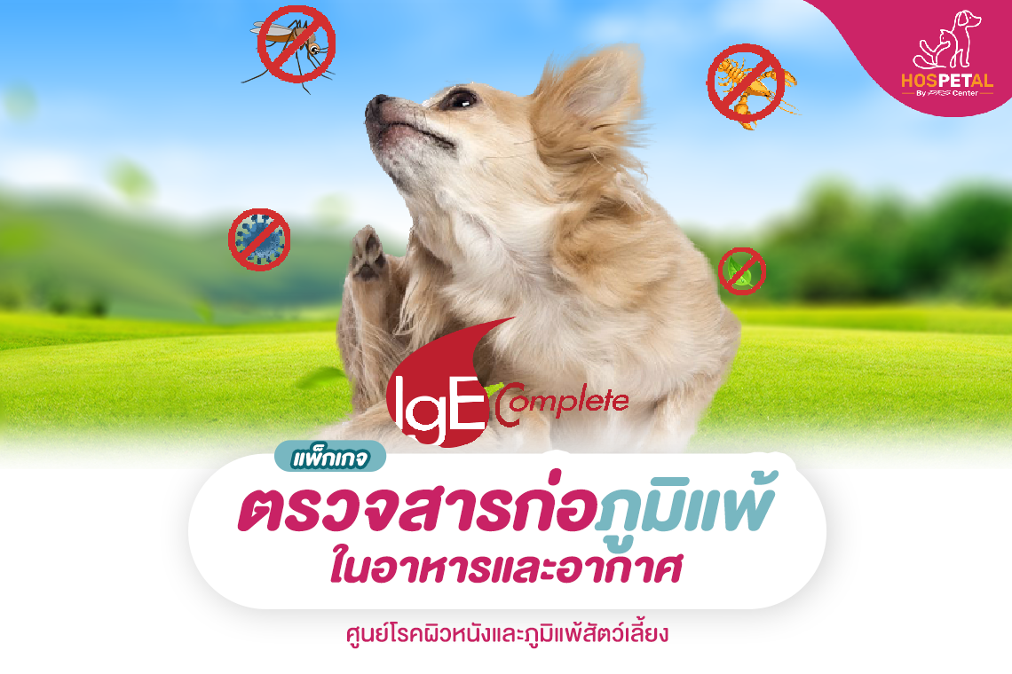 ตรวจภูมิแพ้สัตว์เลี้ยง ตรวจภูมิแพ้สัตว์เลี้ยง