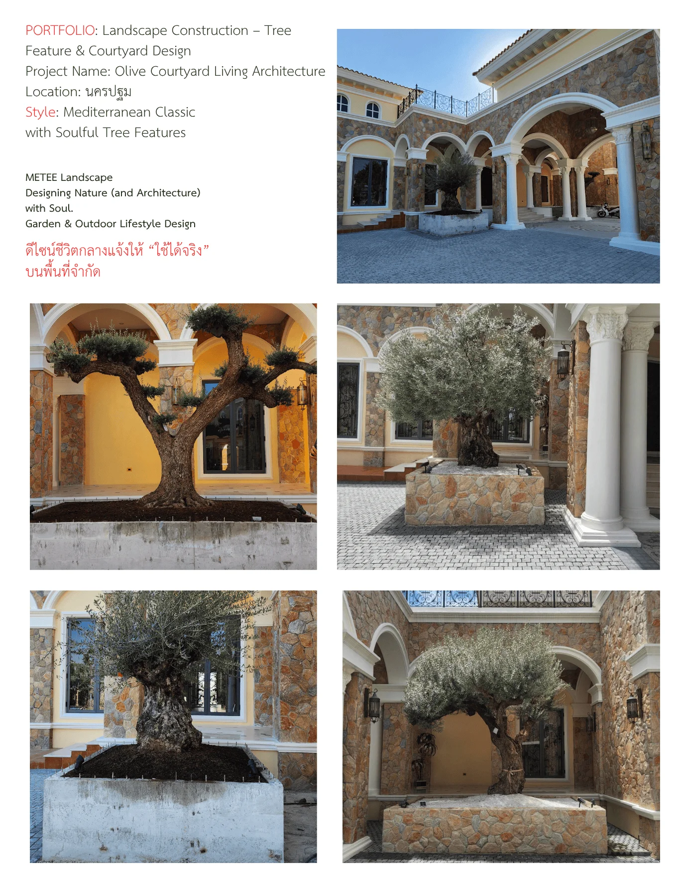olive-Landscape-Construction-–-Tree-Feature-_-Courtyard-Design.webp