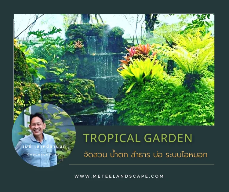 tropical garden