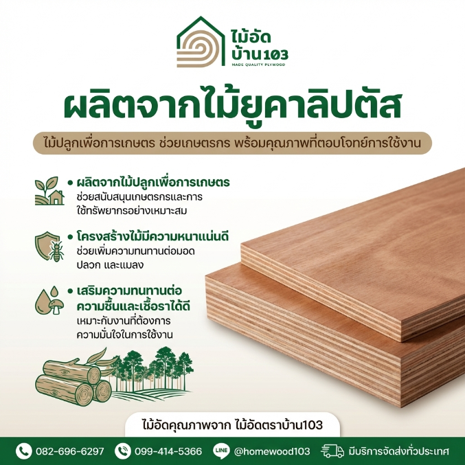 ไม้อัดตราบ้าน103 ผลิตจากไม้ยูคาลิปตัส โครงสร้างไม้มีความแน่นดี