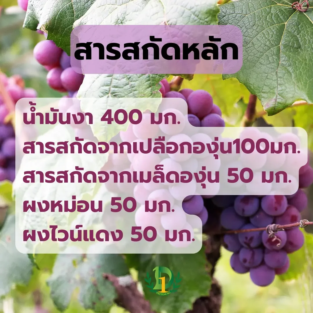 การนอนหลับ