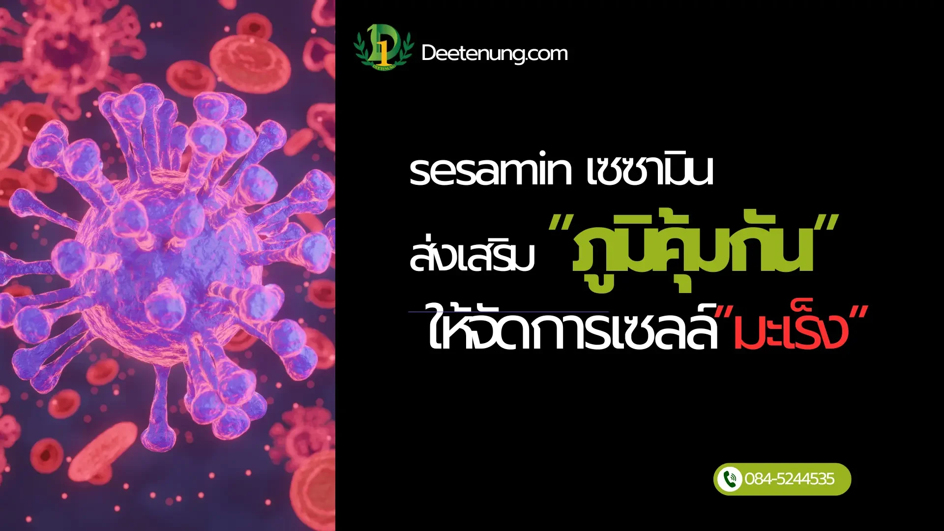 เซซามิน sesamin เซซามิน sesamin