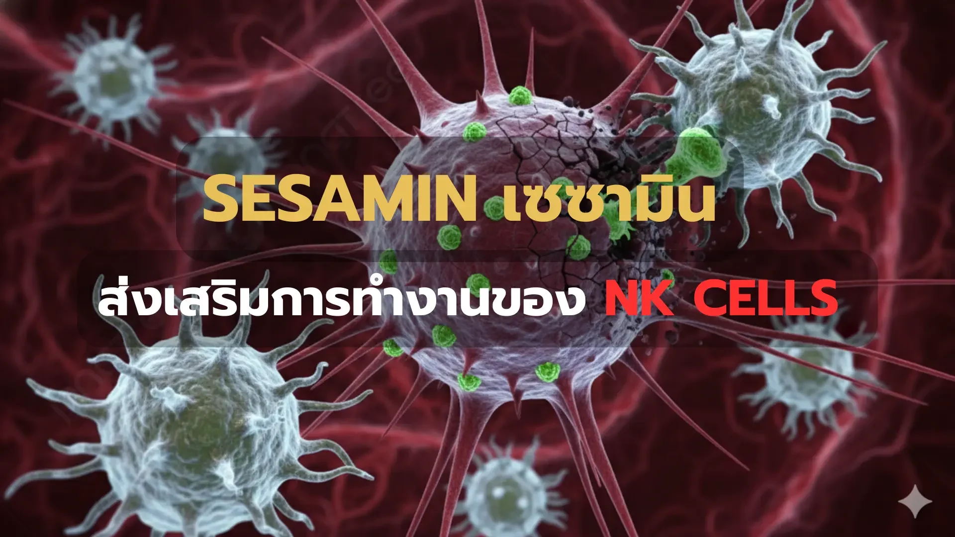 เซซามิน ยับยั้งมะเร็ง