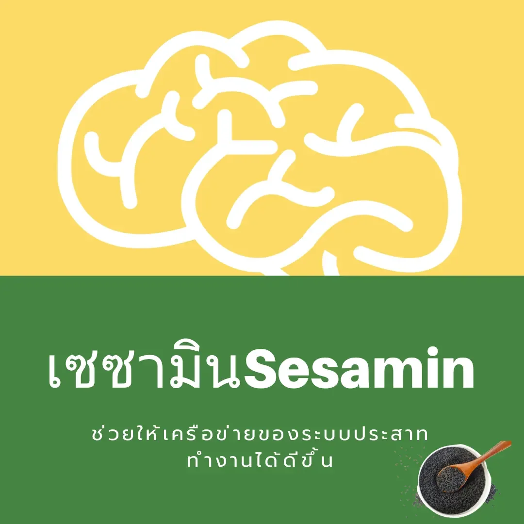 sesamin