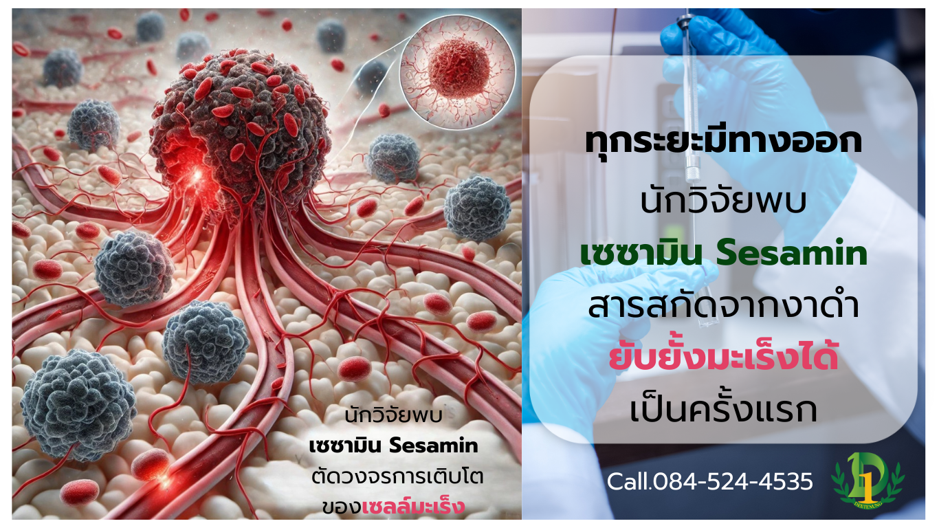 รักษามะเร็งทุกระยะ รักษามะเร็งทุกระยะ