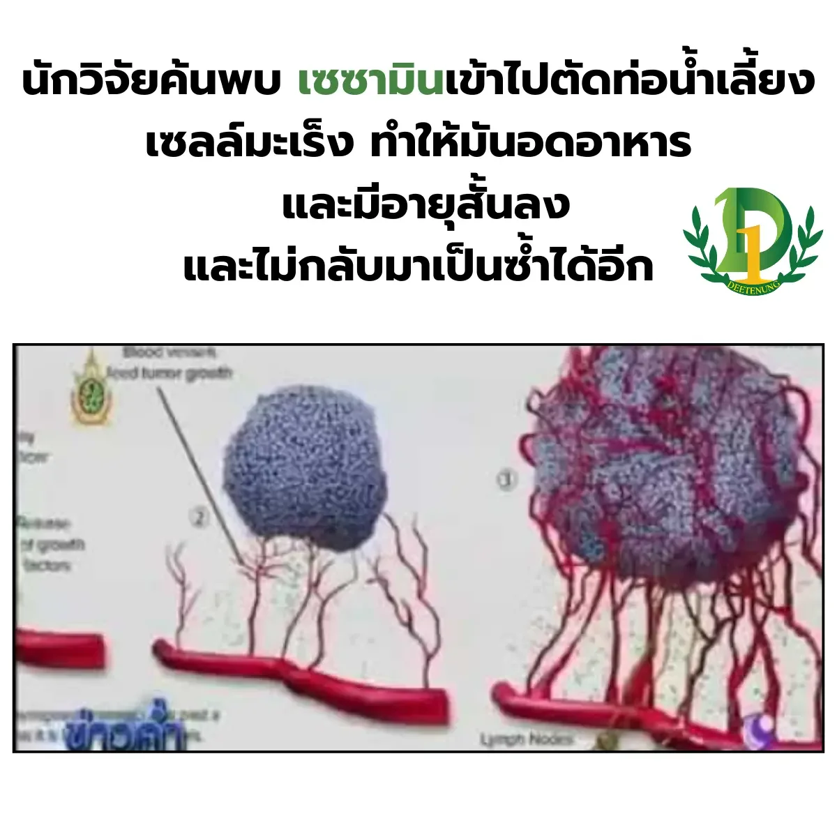 เซซามิน