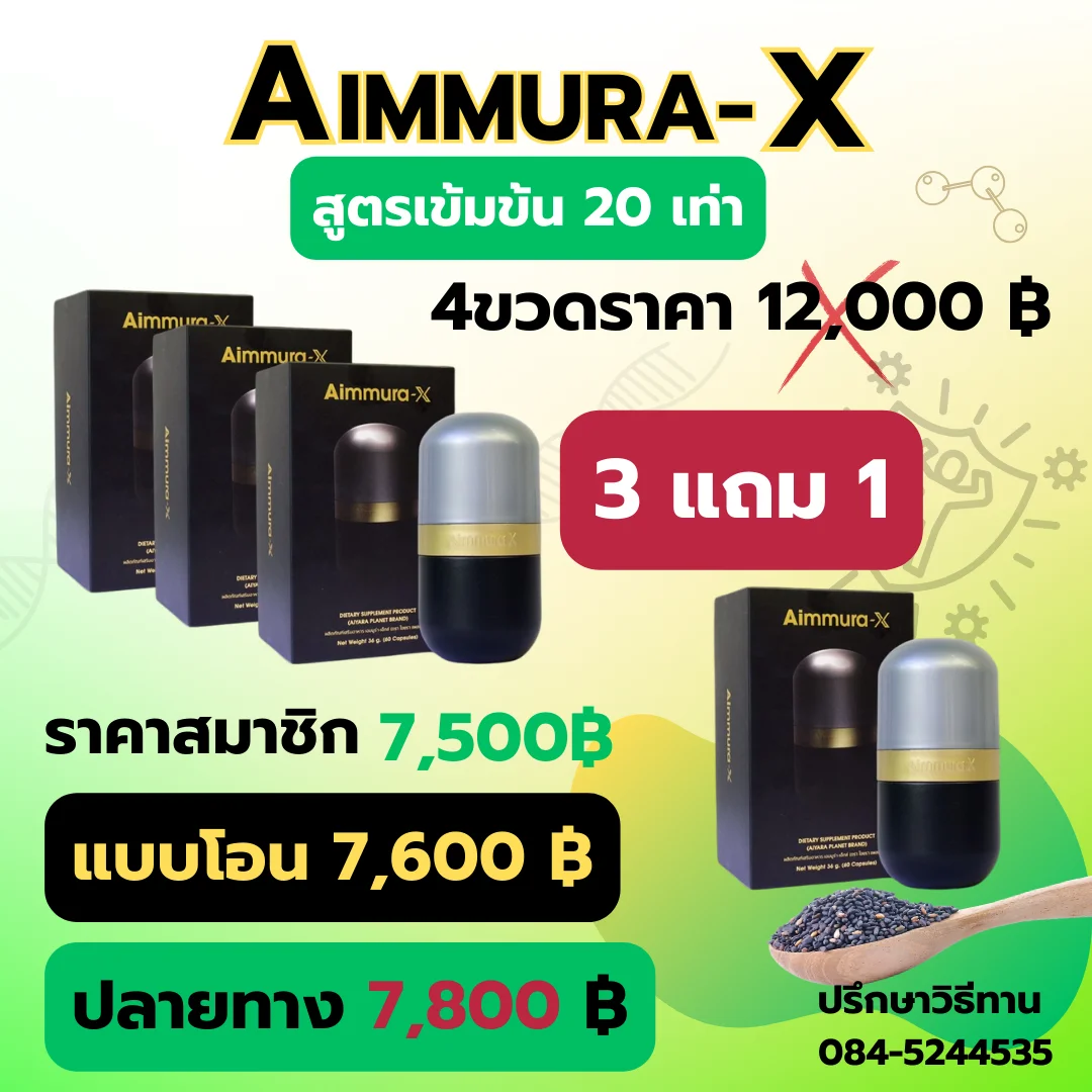 Aimmura-X