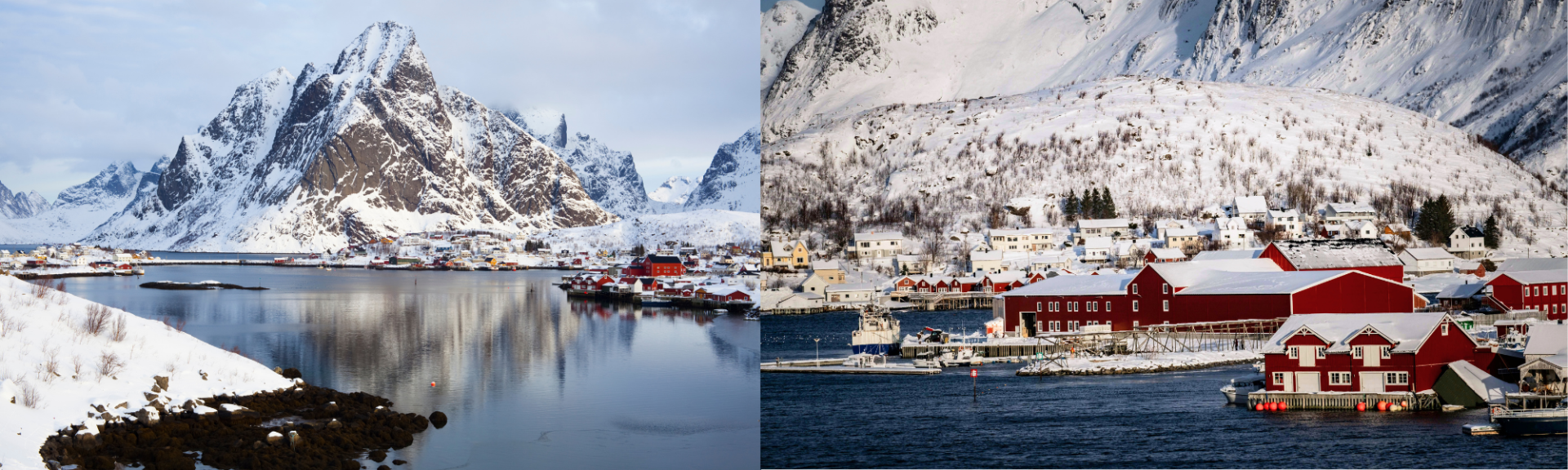 Reine