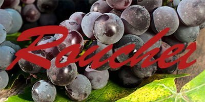 Ruche, a rare grape variety that costs as good as a wine that costs ten thousand.