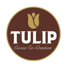 Tulip