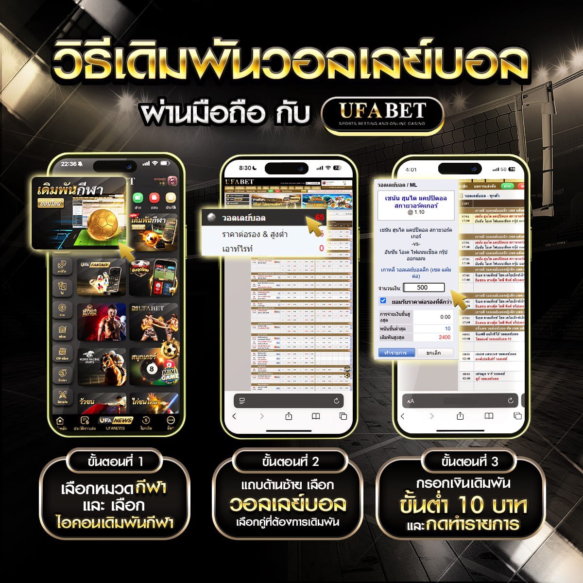วิธีเดิมพันวอลเลย์บอล