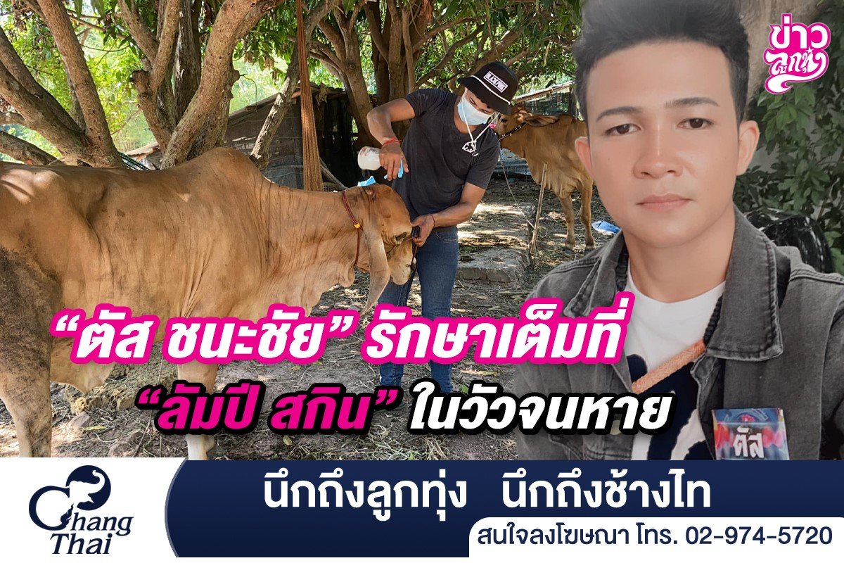 "ตัส ชนะชัย" รักษาเต็มที่ "ลัมปี สกิน" ให้วัวจนหาย