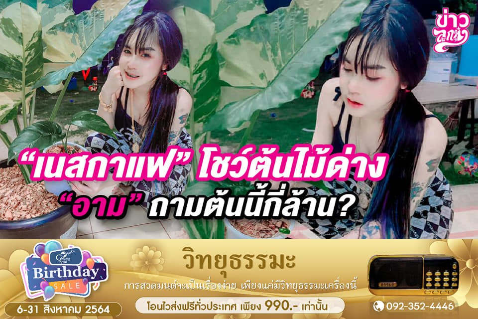"เนสกาแฟ" โชว์ต้นไม้ด่าง "อาม" ถามต้นนี้กี่ล้าน "เนสกาแฟ" โชว์ต้นไม้ด่าง "อาม" ถามต้นนี้กี่ล้าน