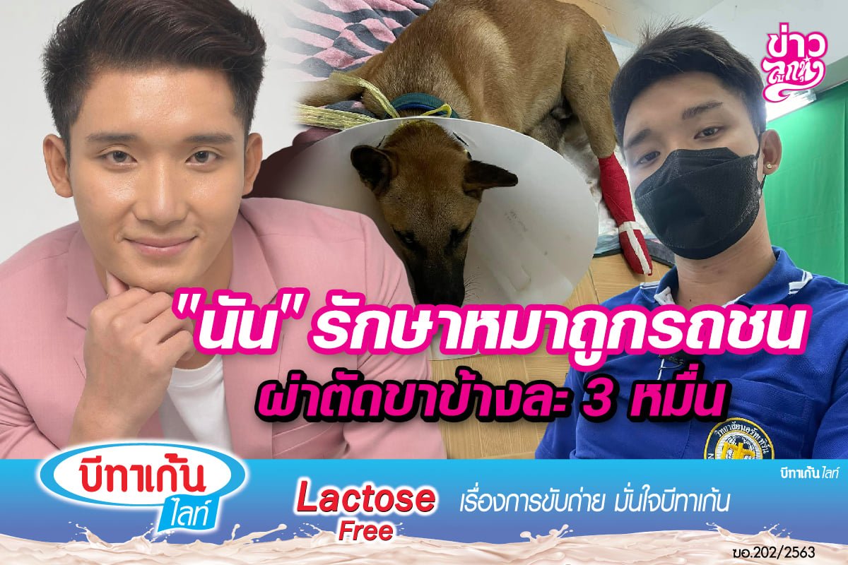 "นัน" รักษาหมาถูกรถชน ผ่าตัดขาข้างละ 3 หมื่น "นัน" รักษาหมาถูกรถชน ผ่าตัดขาข้างละ 3 หมื่น