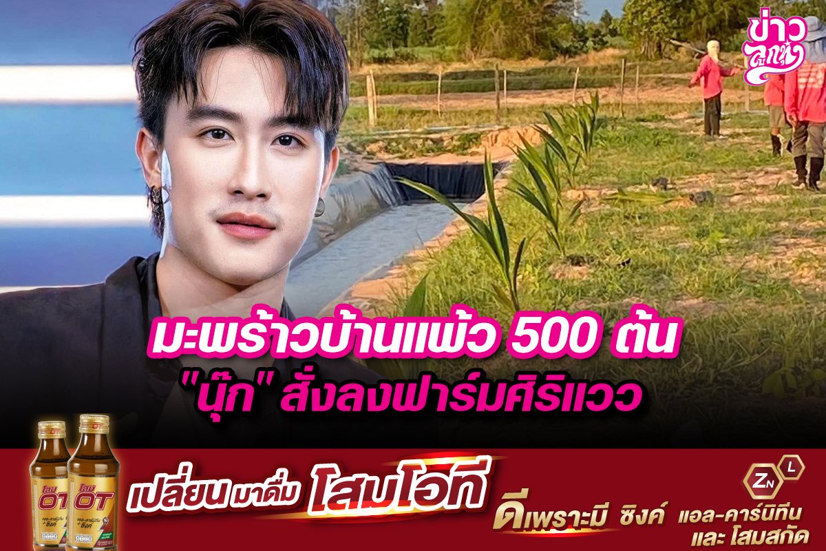 มะพร้าวบ้านแพ้ว 500 ต้น "นุ๊ก" สั่งลงฟาร์มศิริแวว