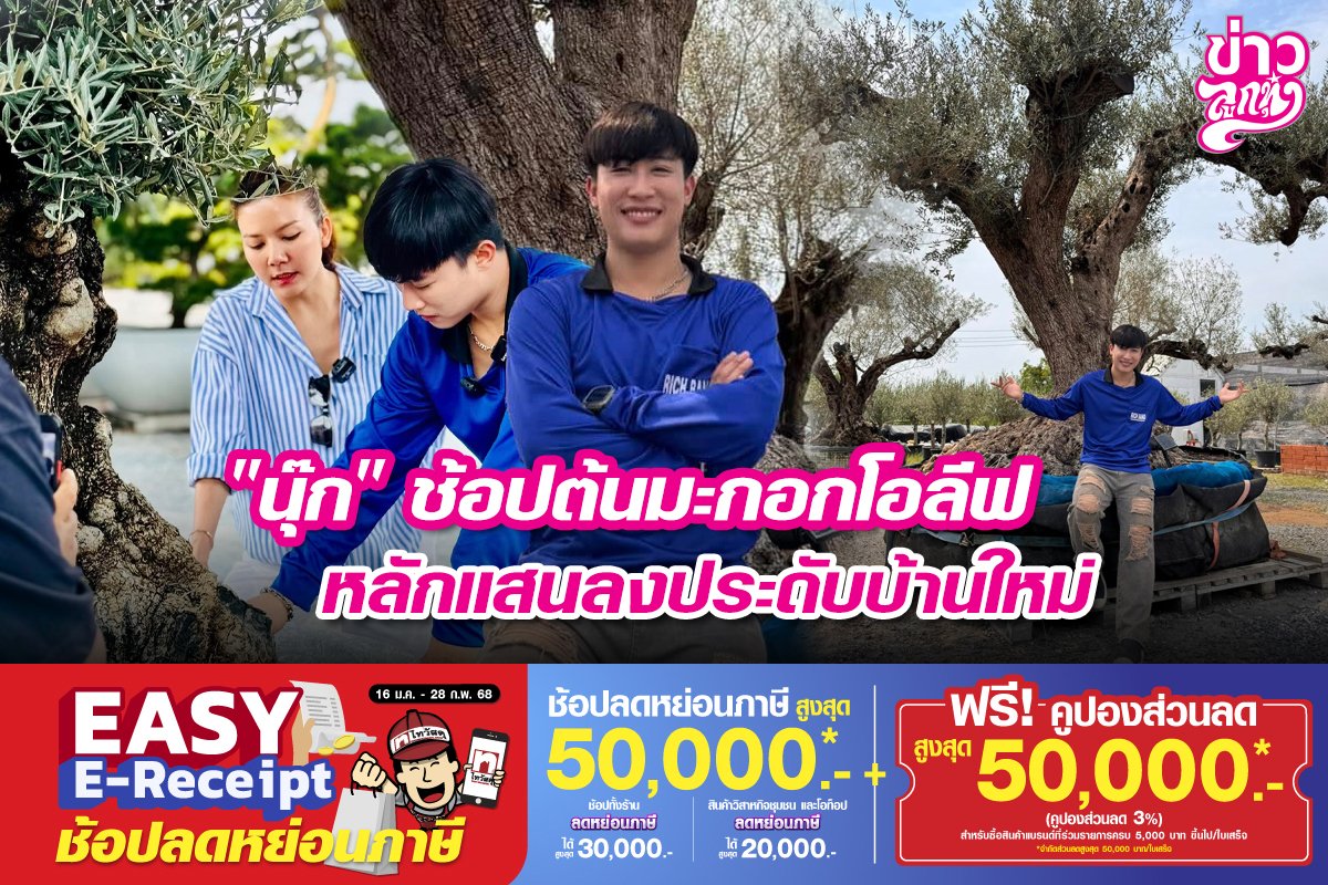 "นุ๊ก" ช้อปต้นมะกอกโอลีฟหลักแสนลงประดับบ้านใหม่