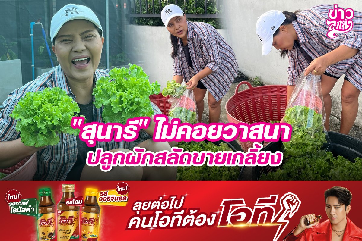 "สุนารี" ไม่คอยวาสนา ปลูกผักสลัดขายเกลี้ยง