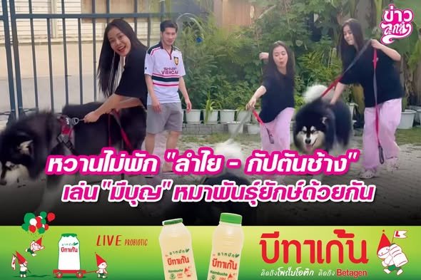 หวานไม่พัก "ลำไย - กัปตันช้าง" เล่น "มีบุญ" หมาพันธุ์ยักษ์ด้วยกัน